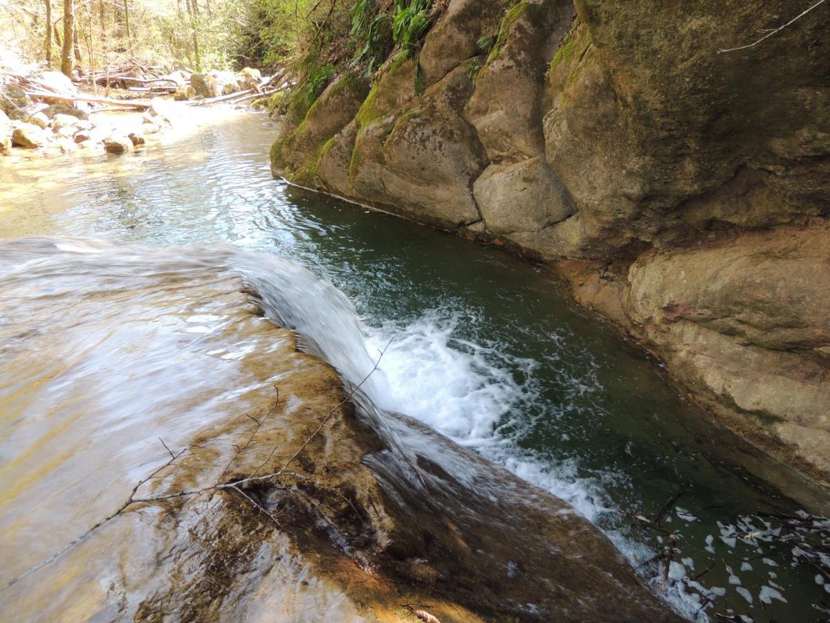 El Moli D'En Sola-Allotjaments Rurals La Vall de Bianya Exteriör bild