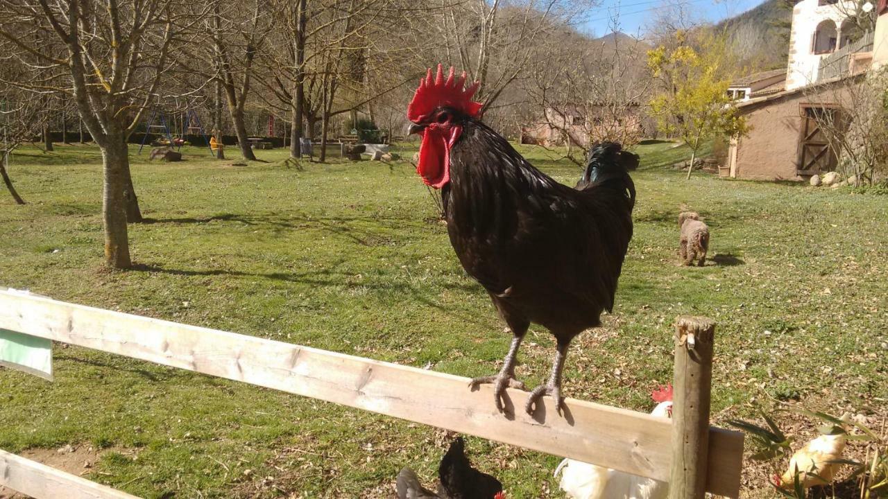 El Moli D'En Sola-Allotjaments Rurals La Vall de Bianya Exteriör bild